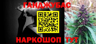 дживик Моздок