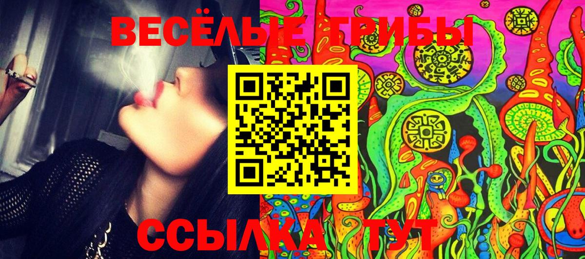 Верхняя Пышма  Псилоцибиновые грибы MAGIC MUSHROOMS  Вход с VPN  Псилоцибиновые грибы мицелий 